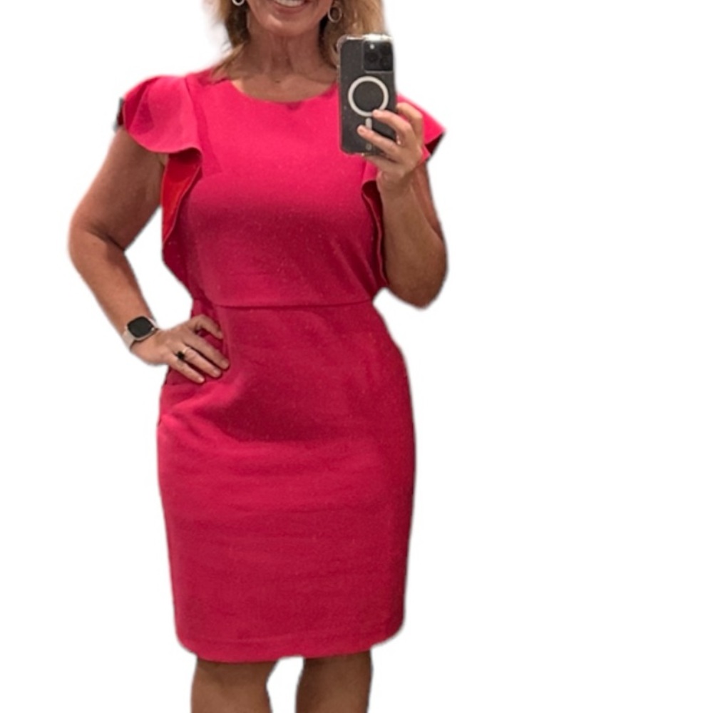 Ann Taylor Ruffle Sleeve Sheath Dress